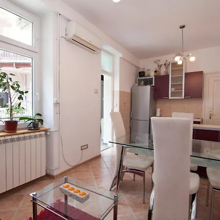 Apartment Dorcol Place, *
